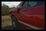 Ford Mustang Fastback 69  - 2